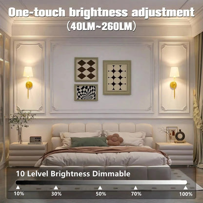 Wireless Rechargeable Wall Lamp – Battery Powered Dimmable Light with Remote Control and 10 Colours
